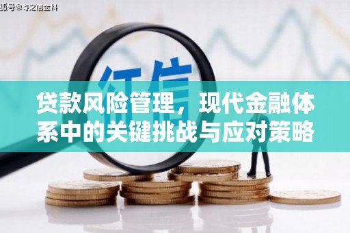 卧龙贷款风险管理，现代金融体系中的关键挑战与应对策略