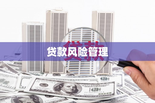 卧龙贷款风险管理