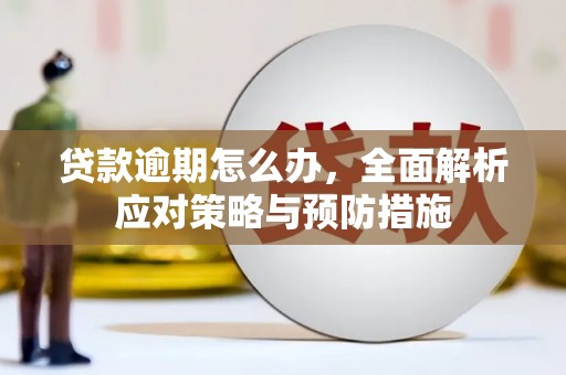 卧龙贷款逾期怎么办，全面解析应对策略与预防措施
