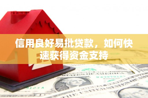 卧龙信用良好易批贷款，如何快速获得资金支持