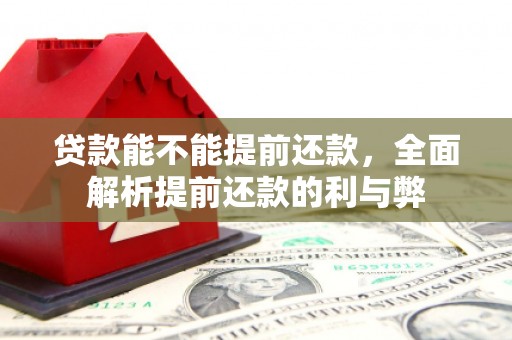 卧龙贷款能不能提前还款，全面解析提前还款的利与弊