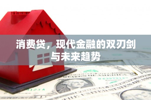 卧龙消费贷，现代金融的双刃剑与未来趋势