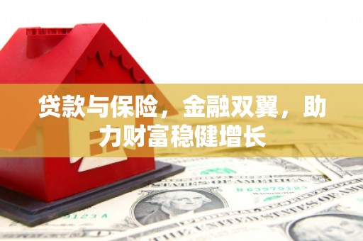 卧龙贷款与保险，金融双翼，助力财富稳健增长