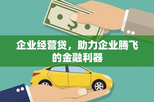 卧龙企业经营贷，助力企业腾飞的金融利器