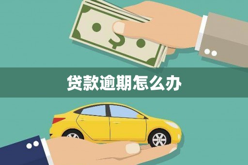 卧龙贷款逾期怎么办