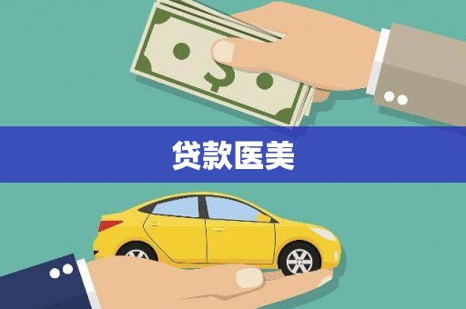 卧龙贷款医美