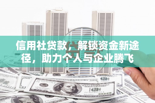 卧龙信用社贷款，解锁资金新途径，助力个人与企业腾飞