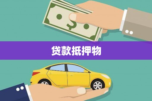 卧龙贷款抵押物