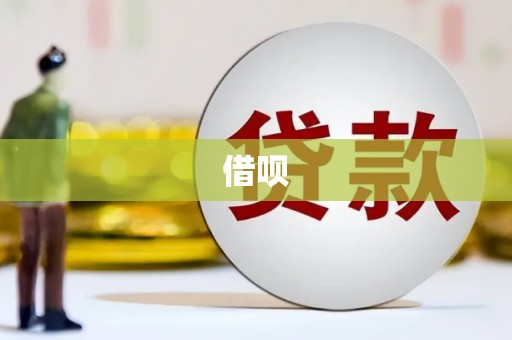 卧龙借呗