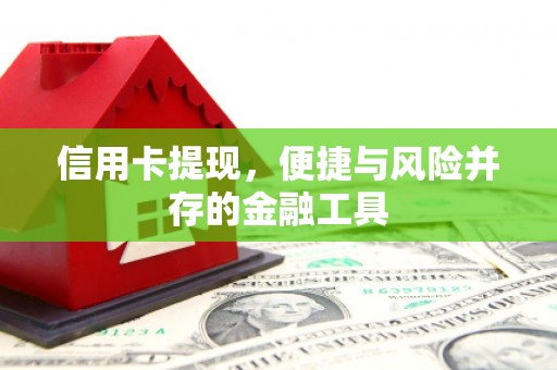 卧龙信用卡提现，便捷与风险并存的金融工具
