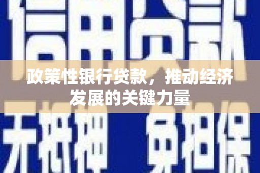 卧龙政策性银行贷款，推动经济发展的关键力量