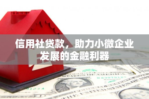 卧龙信用社贷款，助力小微企业发展的金融利器