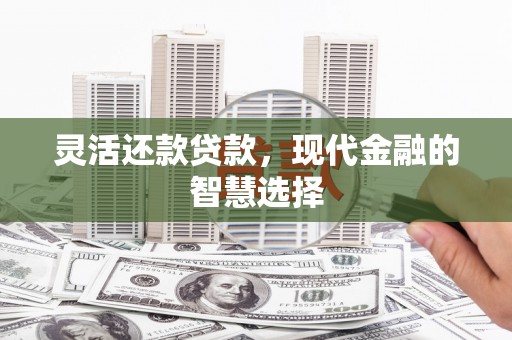 卧龙灵活还款贷款，现代金融的智慧选择