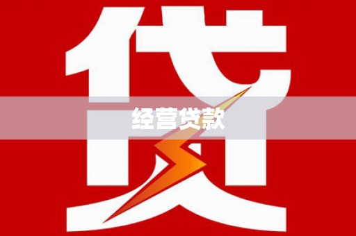 卧龙经营贷款