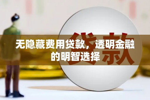 卧龙无隐藏费用贷款，透明金融的明智选择