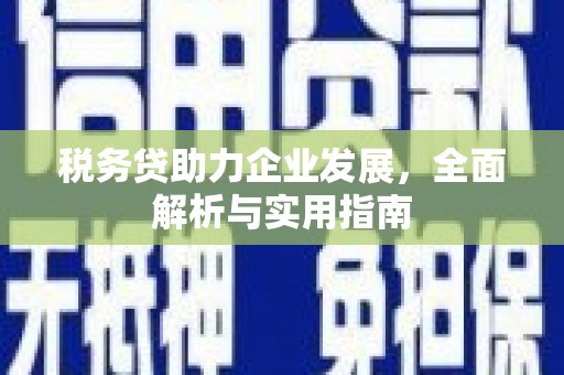 卧龙税务贷助力企业发展，全面解析与实用指南
