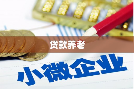 卧龙贷款养老