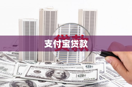 卧龙支付宝贷款