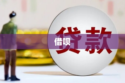 卧龙借呗