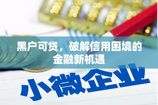 卧龙黑户可贷，破解信用困境的金融新机遇