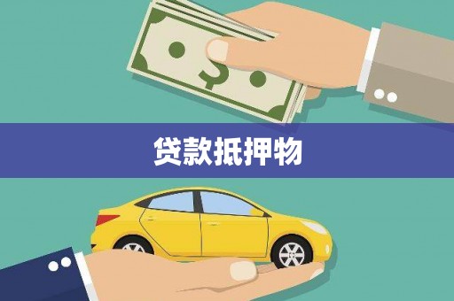 卧龙贷款抵押物