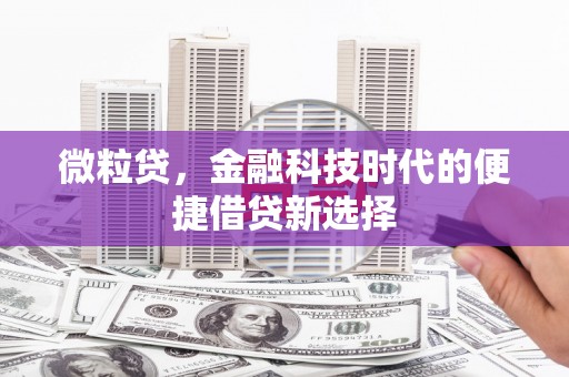 卧龙微粒贷，金融科技时代的便捷借贷新选择