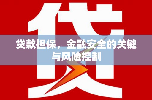 卧龙贷款担保，金融安全的关键与风险控制