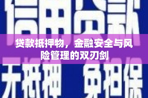 卧龙贷款抵押物，金融安全与风险管理的双刃剑
