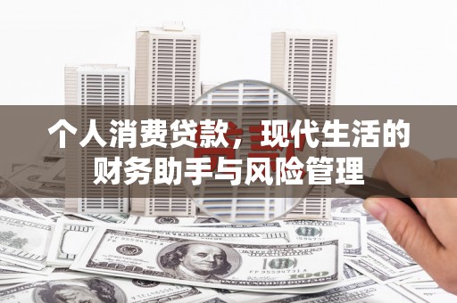 卧龙个人消费贷款，现代生活的财务助手与风险管理