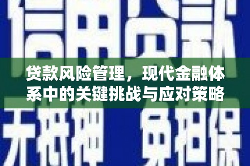 卧龙贷款风险管理，现代金融体系中的关键挑战与应对策略