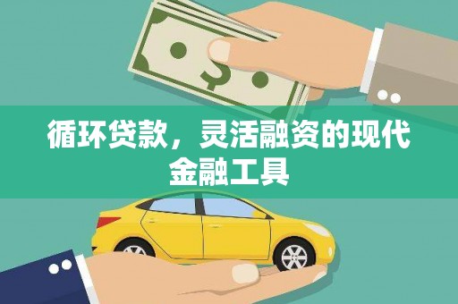 卧龙循环贷款，灵活融资的现代金融工具