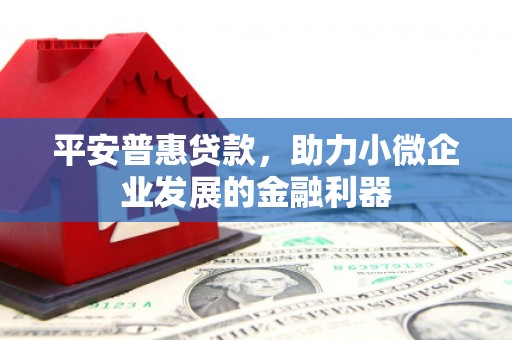 卧龙平安普惠贷款，助力小微企业发展的金融利器