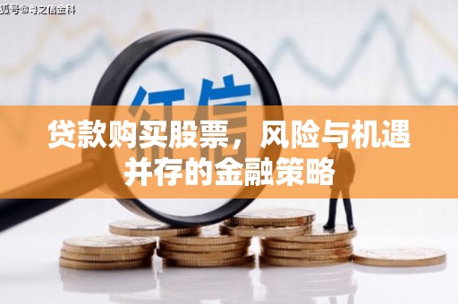 卧龙贷款购买股票，风险与机遇并存的金融策略