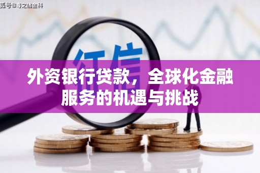 卧龙外资银行贷款，全球化金融服务的机遇与挑战