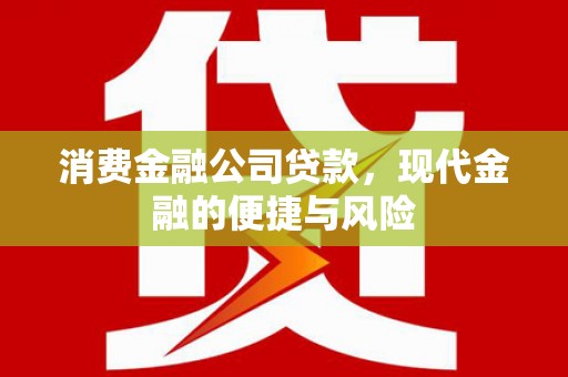 卧龙消费金融公司贷款，现代金融的便捷与风险