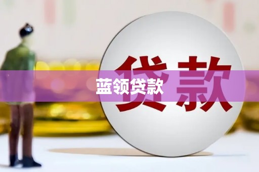 卧龙蓝领贷款