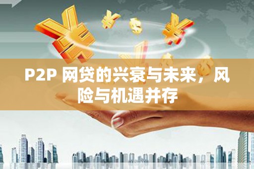 卧龙P2P 网贷的兴衰与未来，风险与机遇并存