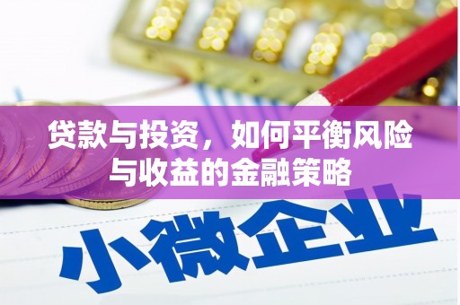卧龙贷款与投资，如何平衡风险与收益的金融策略