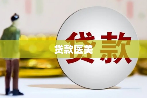 卧龙贷款医美