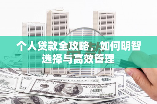 卧龙个人贷款全攻略，如何明智选择与高效管理