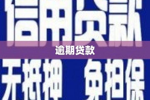 卧龙逾期贷款