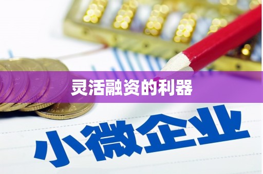 卧龙灵活融资的利器