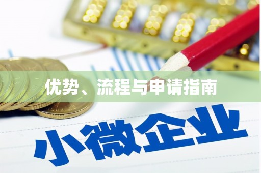 卧龙优势、流程与申请指南