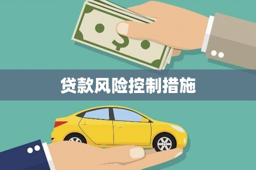卧龙贷款风险控制措施