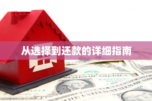 卧龙从选择到还款的详细指南