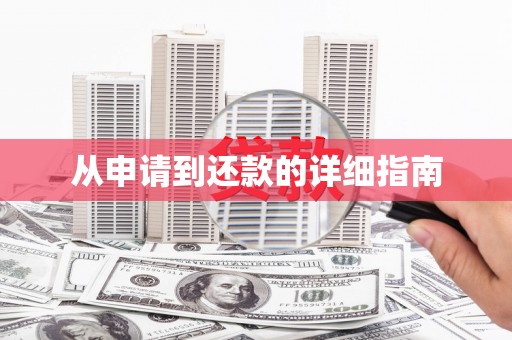 卧龙从申请到还款的详细指南
