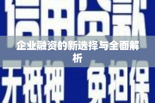 卧龙企业融资的新选择与全面解析
