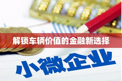 卧龙解锁车辆价值的金融新选择