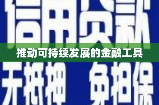 卧龙推动可持续发展的金融工具