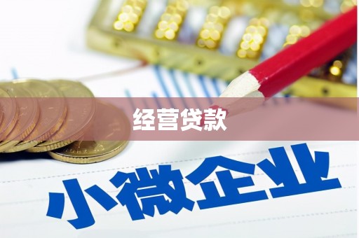 卧龙经营贷款
